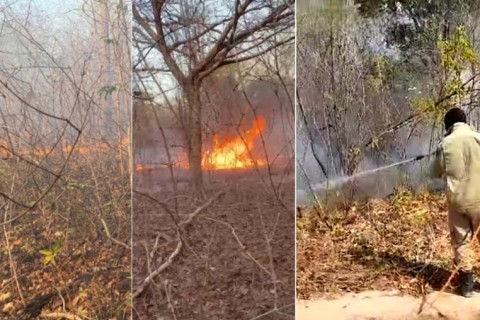 Incêndio devasta hectares de terra e mata animais entre São Miguel do Tapuio e São João da Serra (PI)